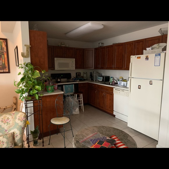 Meet your Posher, Grace - Picture 2 of 2